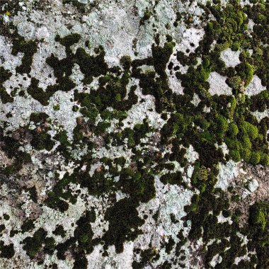 Dağ kayası arka planı. Kaya dokusu. Taş zemin