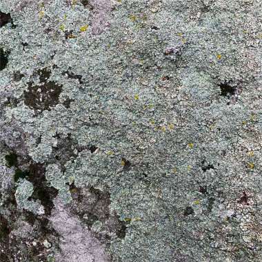 Dağ kayası arka planı. Kaya dokusu. Taş zemin