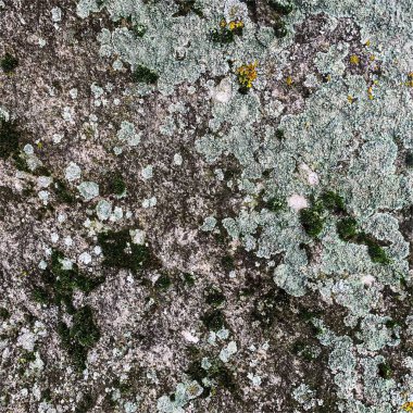 Dağ kayası arka planı. Kaya dokusu. Taş zemin