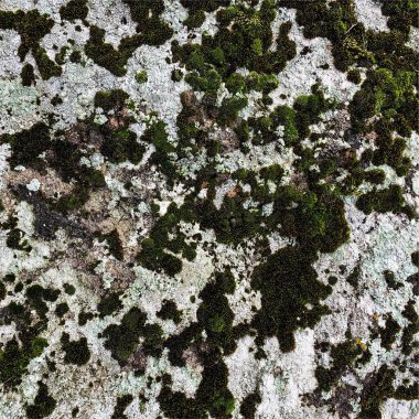 Dağ kayası arka planı. Kaya dokusu. Taş zemin