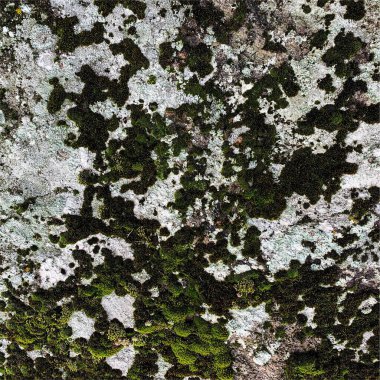 Dağ kayası arka planı. Kaya dokusu. Taş zemin