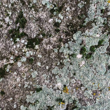 Dağ kayası arka planı. Kaya dokusu. Taş zemin