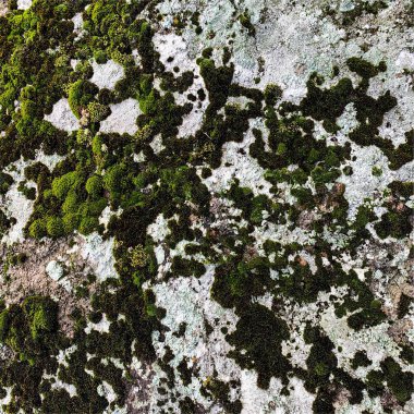 Dağ kayası arka planı. Kaya dokusu. Taş zemin