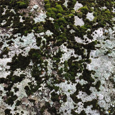 Dağ kayası arka planı. Kaya dokusu. Taş zemin