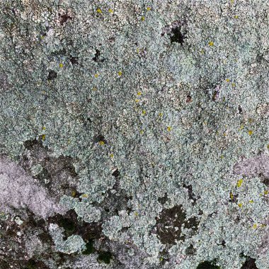 Dağ kayası arka planı. Kaya dokusu. Taş zemin