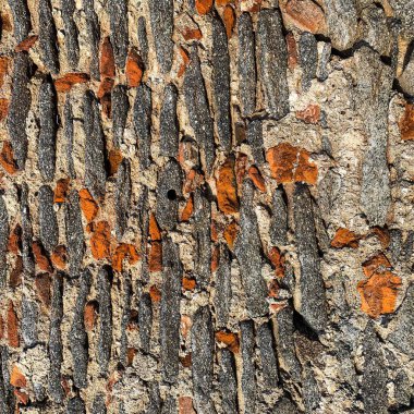 Eski taş duvar arka planı. Taş zemin