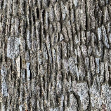 Eski taş duvar arka planı. Taş zemin