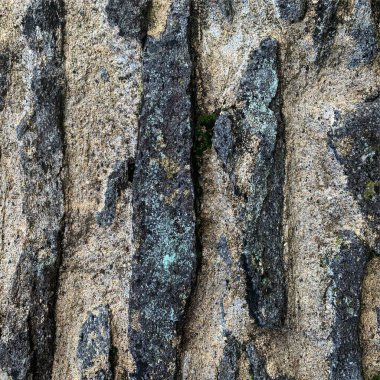 Eski taş duvar arka planı. Taş zemin