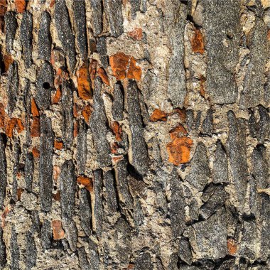 Eski taş duvar arka planı. Taş zemin