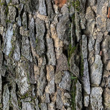 Eski taş duvar arka planı. Taş zemin