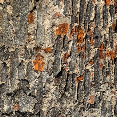 Eski taş duvar arka planı. Taş zemin