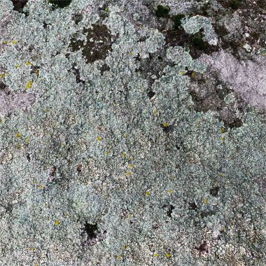 Eski taş duvar arka planı. Taş zemin