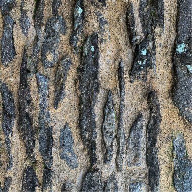 Eski taş duvar arka planı. Taş zemin