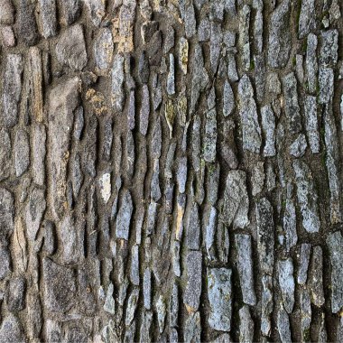 Eski taş duvar arka planı. Taş zemin