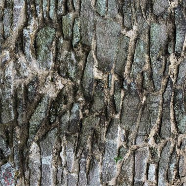 Eski taş duvar arka planı. Taş zemin