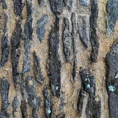 Eski taş duvar arka planı. Taş zemin