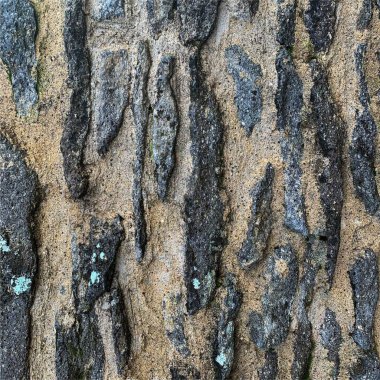 Eski taş duvar arka planı. Taş zemin