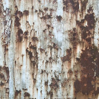 Paslı metal yüzey dokusu. Paslı Arkaplan