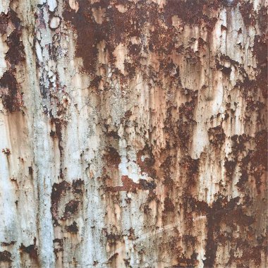 Paslı metal yüzey dokusu. Paslı Arkaplan