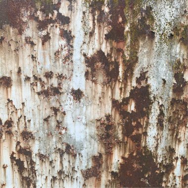 Paslı metal yüzey dokusu. Paslı Arkaplan