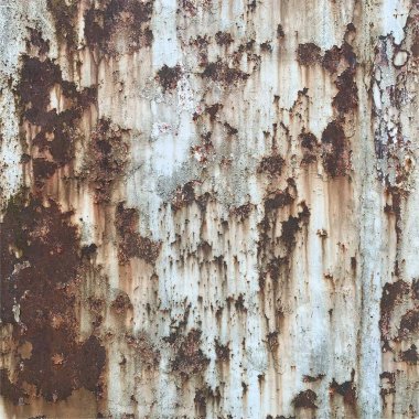 Paslı metal yüzey dokusu. Paslı Arkaplan