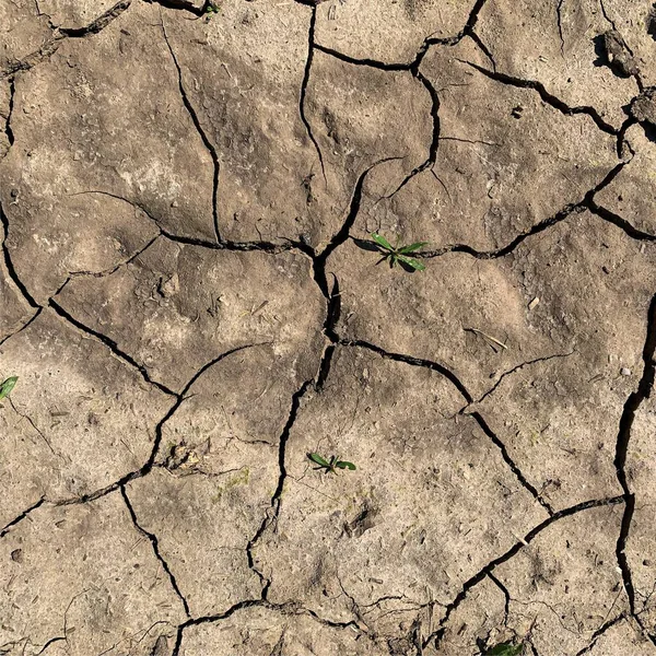 Çatlak yeryüzü arka planı. Toprak yüzeyinde çatlaklar var. Çamur çatlakları.