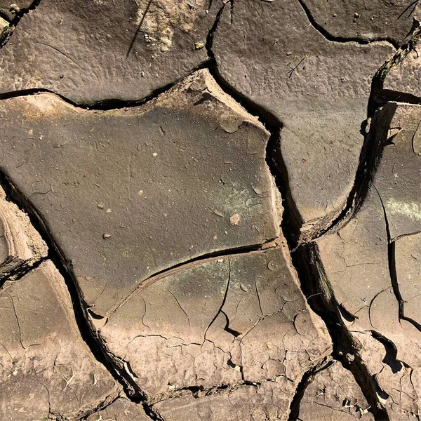 Çatlak yeryüzü arka planı. Toprak yüzeyinde çatlaklar var. Çamur çatlakları.