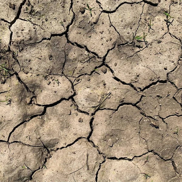 Cracked Earth Background Dry Ground Surface Cracks Mud Cracks — 스톡 사진