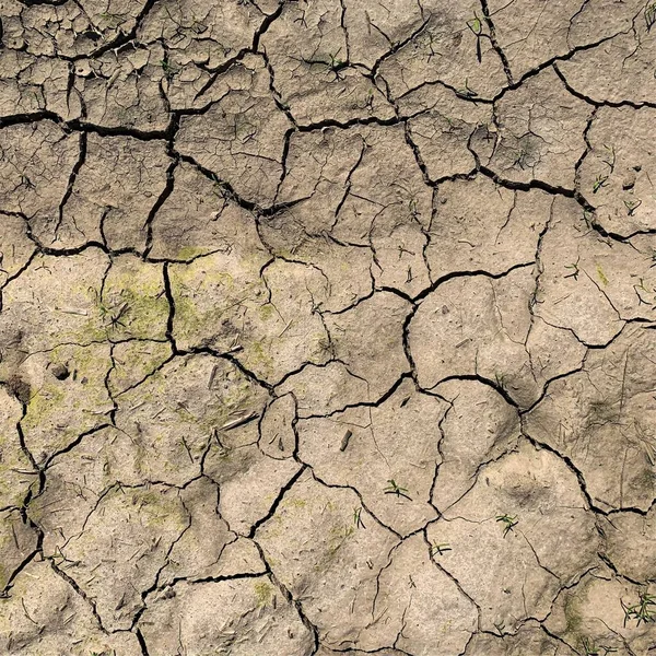 Çatlak yeryüzü arka planı. Toprak yüzeyinde çatlaklar var. Çamur çatlakları.