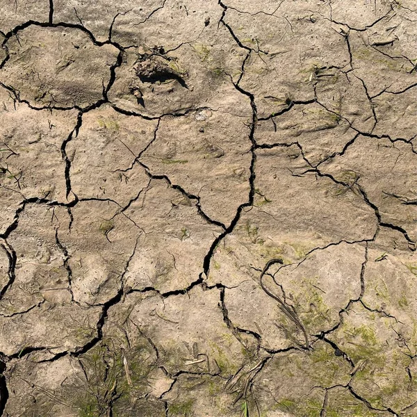 Çatlak yeryüzü arka planı. Toprak yüzeyinde çatlaklar var. Çamur çatlakları.