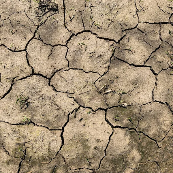 Çatlak yeryüzü arka planı. Toprak yüzeyinde çatlaklar var. Çamur çatlakları.