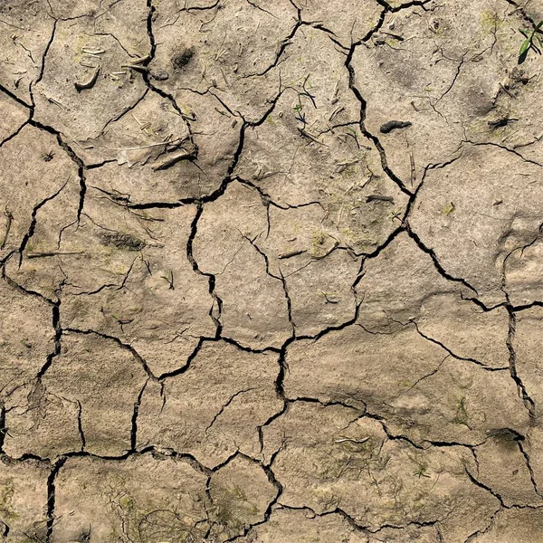 Çatlak yeryüzü arka planı. Toprak yüzeyinde çatlaklar var. Çamur çatlakları.