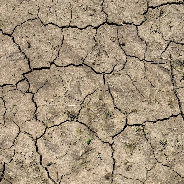 Fondo Tierra Agrietado Superficie Seca Con Grietas Grietas Barro — Foto de Stock