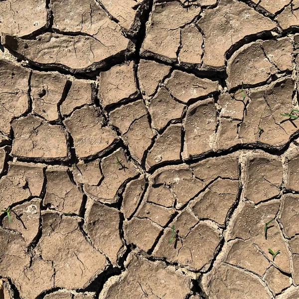 Fondo Tierra Agrietado Superficie Seca Con Grietas Grietas Barro — Foto de Stock