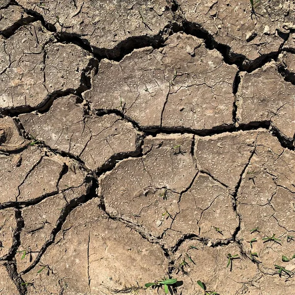 Çatlak yeryüzü arka planı. Toprak yüzeyinde çatlaklar var. Çamur çatlakları.