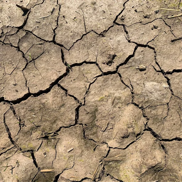 Cracked Earth Background Dry Ground Surface Cracks Mud Cracks — 스톡 사진