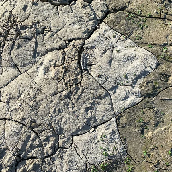 Çatlak yeryüzü arka planı. Toprak yüzeyinde çatlaklar var. Çamur çatlakları.
