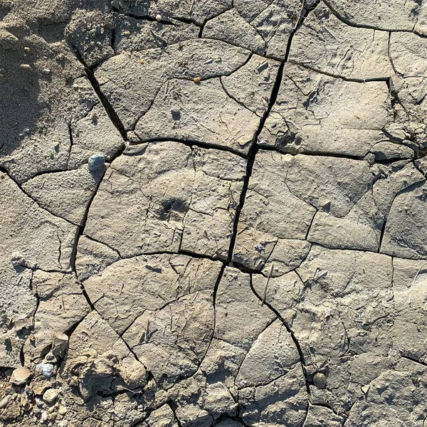 Çatlak yeryüzü arka planı. Toprak yüzeyinde çatlaklar var. Çamur çatlakları.