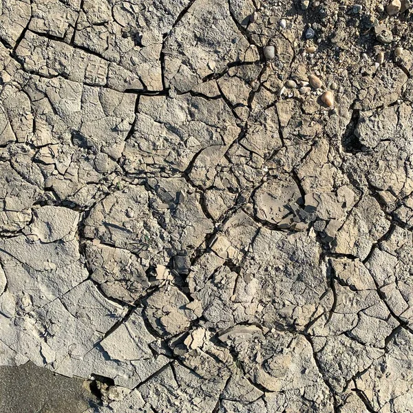 Çatlak yeryüzü arka planı. Toprak yüzeyinde çatlaklar var. Çamur çatlakları.