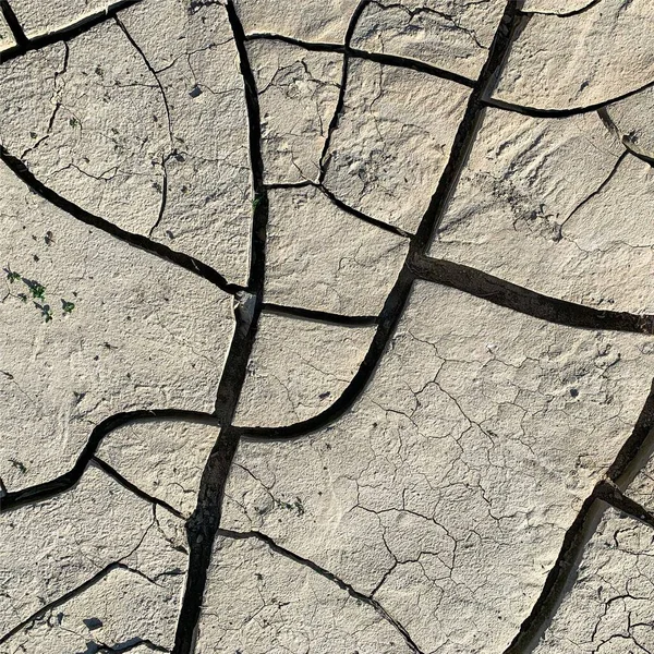 Çatlak yeryüzü arka planı. Toprak yüzeyinde çatlaklar var. Çamur çatlakları.