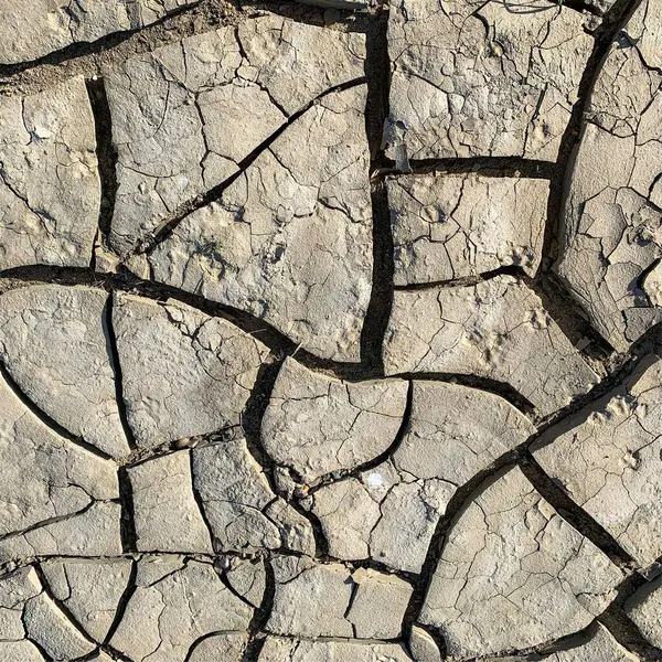 Çatlak yeryüzü arka planı. Toprak yüzeyinde çatlaklar var. Çamur çatlakları.