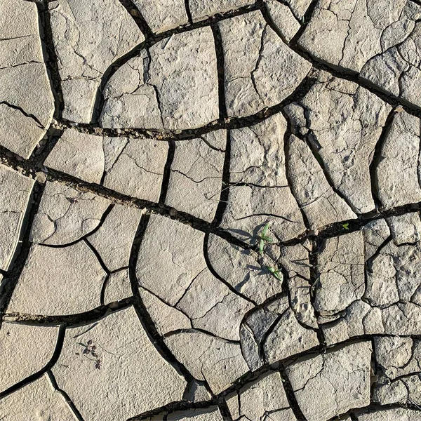 Fondo Tierra Agrietado Superficie Seca Con Grietas Grietas Barro —  Fotos de Stock