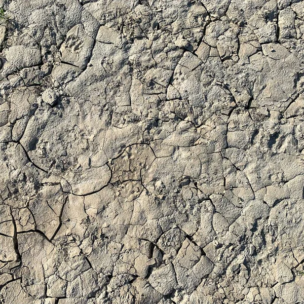 Cracked Earth Background Dry Ground Surface Cracks Mud Cracks — Stock Photo, Image