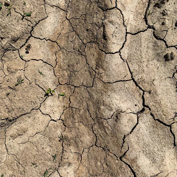 Cracked Earth Background Dry Ground Surface Cracks Mud Cracks — Stock Photo, Image