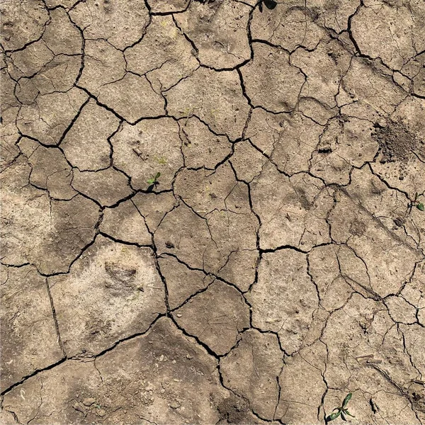 Fundo Terra Rachado Superfície Seca Solo Com Rachaduras Rachaduras Lama — Fotografia de Stock