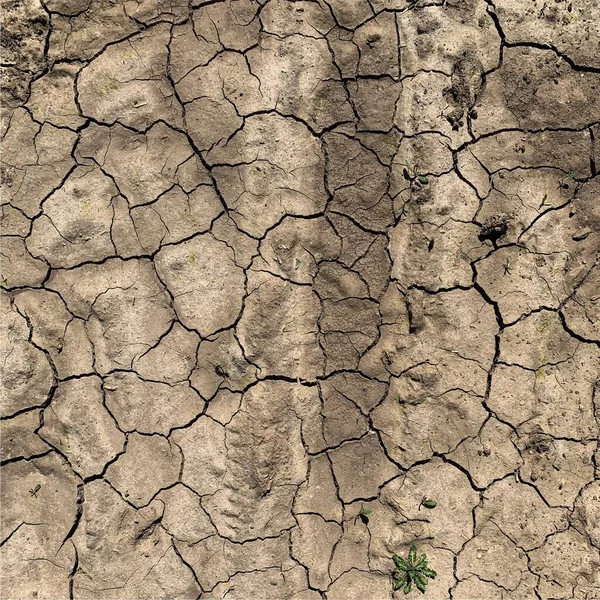 Cracked Earth Background Dry Ground Surface Cracks Mud Cracks — ストック写真