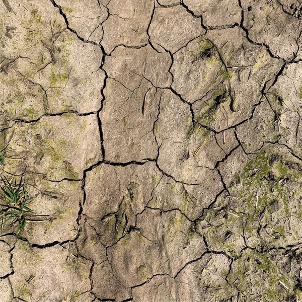Çatlak yeryüzü arka planı. Toprak yüzeyinde çatlaklar var. Çamur çatlakları.