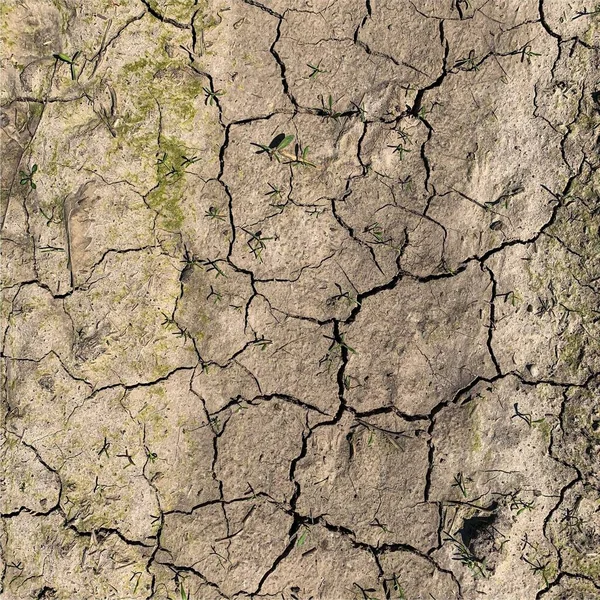 Çatlak yeryüzü arka planı. Toprak yüzeyinde çatlaklar var. Çamur çatlakları.
