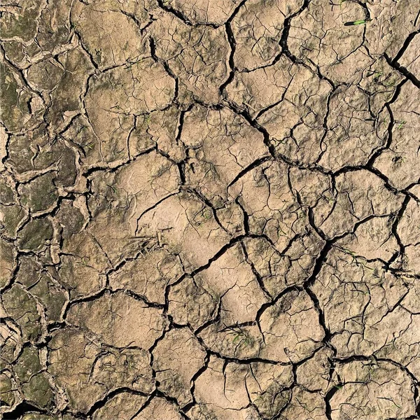 Gebarsten Aarde Achtergrond Droge Ondergrond Met Scheuren Spatscheuren — Stockfoto