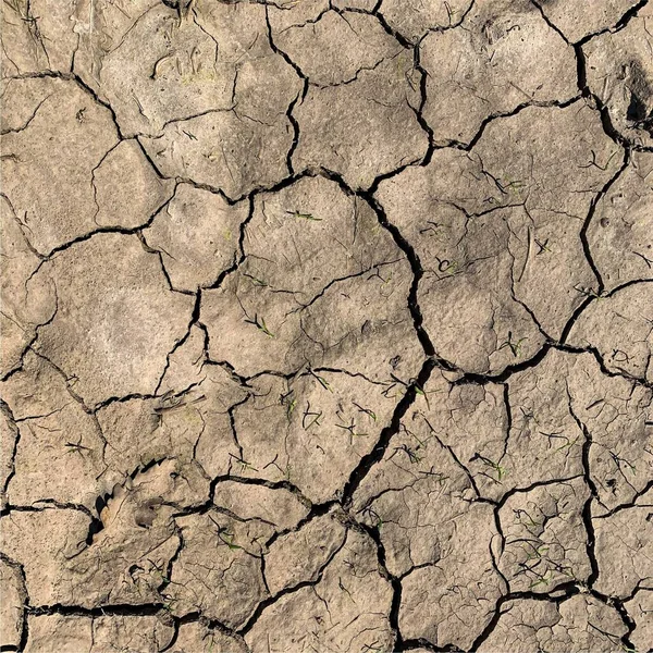 Çatlak yeryüzü arka planı. Toprak yüzeyinde çatlaklar var. Çamur çatlakları.